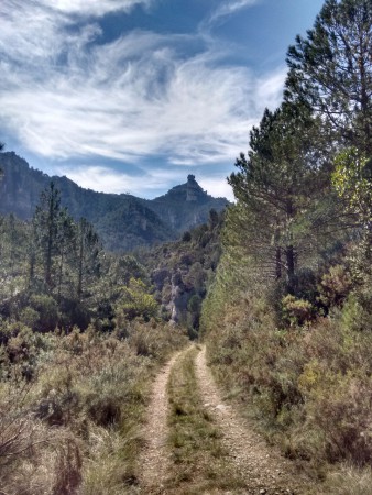 Racó dels Presseguers